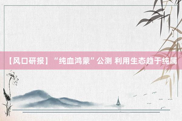 【风口研报】“纯血鸿蒙”公测 利用生态趋于纯属