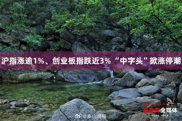 沪指涨逾1%、创业板指跌近3% “中字头”掀涨停潮