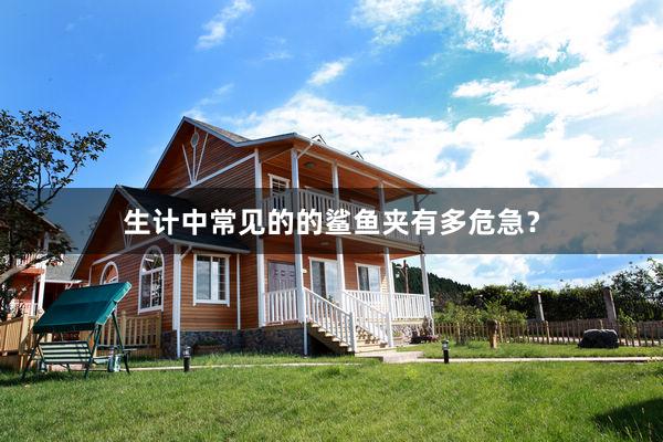 生计中常见的的鲨鱼夹有多危急？