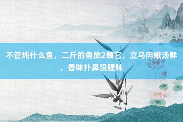 不管炖什么鱼，二斤的鱼放2颗它，立马肉嫩汤鲜，香味扑鼻没腥味