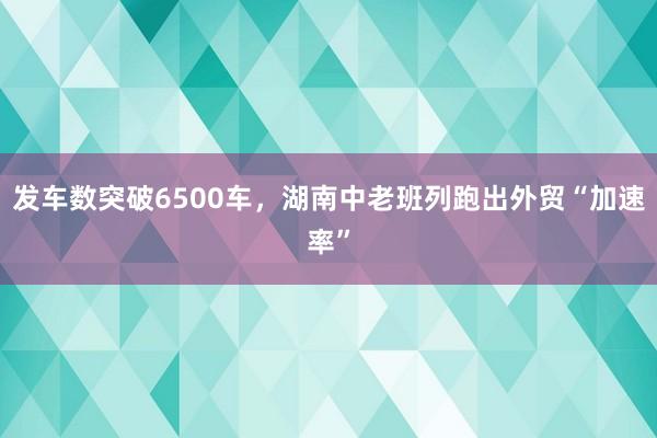 发车数突破6500车，湖南中老班列跑出外贸“加速率”