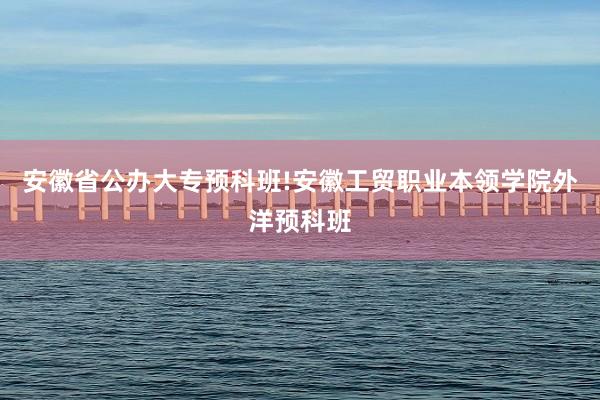 安徽省公办大专预科班!安徽工贸职业本领学院外洋预科班