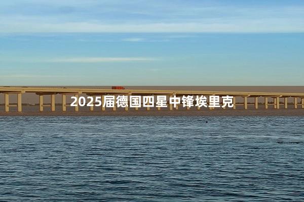 2025届德国四星中锋埃里克