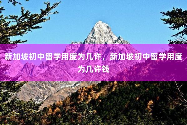 新加坡初中留学用度为几许，新加坡初中留学用度为几许钱