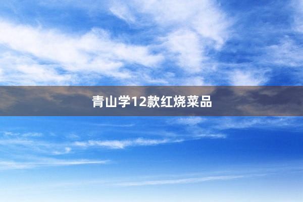 青山学12款红烧菜品