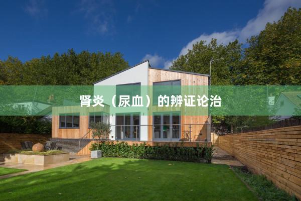 肾炎（尿血）的辨证论治
