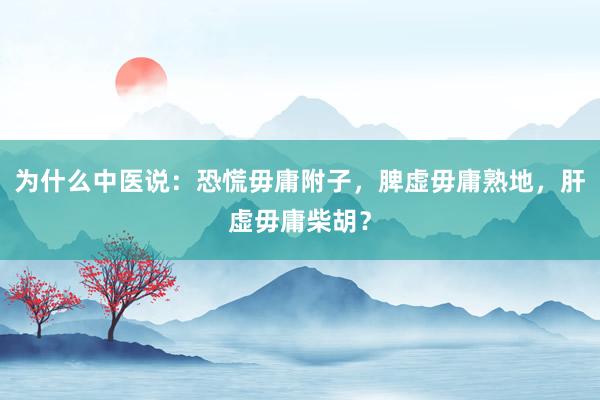 为什么中医说：恐慌毋庸附子，脾虚毋庸熟地，肝虚毋庸柴胡？