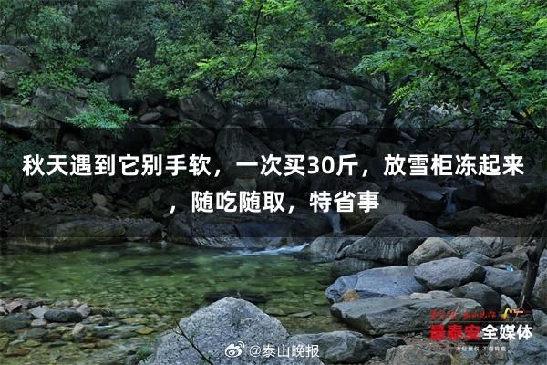 秋天遇到它别手软，一次买30斤，放雪柜冻起来，随吃随取，特省事