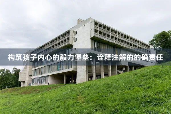 构筑孩子内心的毅力堡垒：诠释注解的的确责任