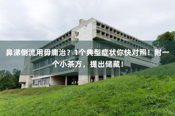 鼻涕倒流用毋庸治？1个典型症状你快对照！附一个小茶方，提出储藏！