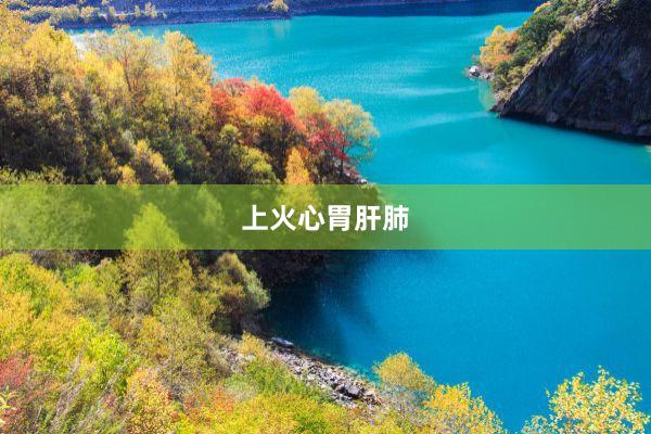 上火心胃肝肺