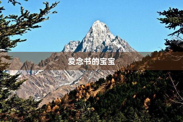爱念书的宝宝