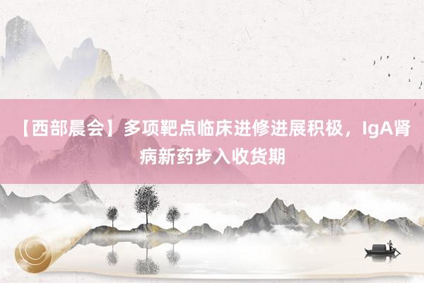 【西部晨会】多项靶点临床进修进展积极，IgA肾病新药步入收货期